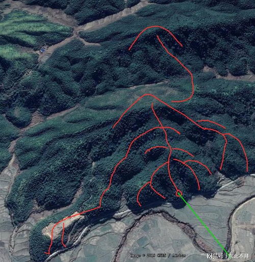 香港生基风水真的存在丙qie有效吗？