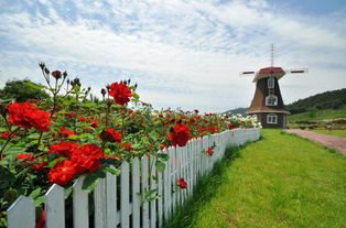 购物区：“宰客没商量”模式全开