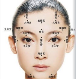 川字纹的定义与形态解析