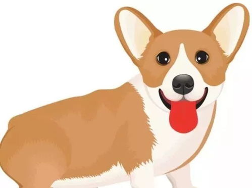 2026年属狗人六月份感情运势如何？