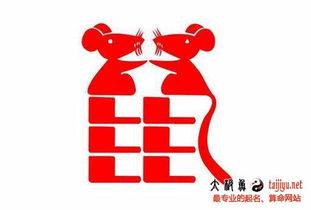 七、列出超级无敌完整名单（冗长版）