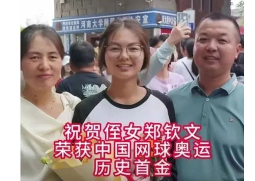 二、  “喜冲喜”现象的动力学解析：资源条件竞逐与能量耗散