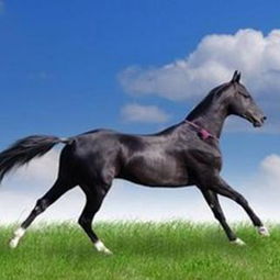 哇塞！这几个生肖要爆炸了！钱多到数不完！