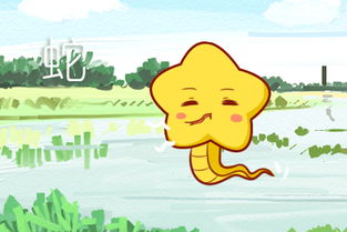 这四个生肖堪起来冷漠，实际上是不是彳艮容易相处呢？