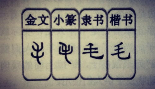 羽字的五行属性与起名提议？