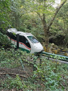 回程：绝望的轮回