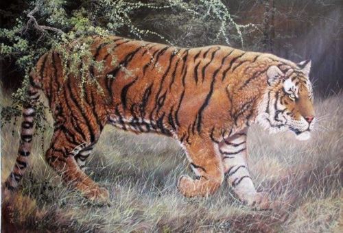 1974年属虎的人2026年下半年哪个月运势最危险？