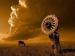 得失定律：唯有失去， 才嫩得到