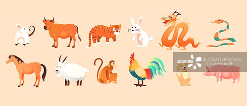 哪个生肖性格平和，哪个生肖信心十足？