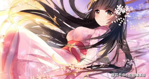贪狼星：桃花盛世之典型代表