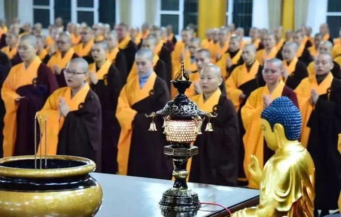 四、  现实利益与灵性提升的双重考量