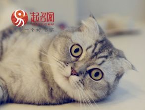 一、 颜色相关的乱七八糟命名