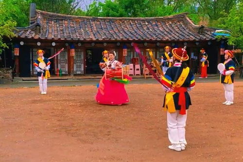 3. 民族风情表演（实则练习体操）