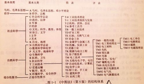 蛇年宝宝的“蛇性”：灵动与智慧