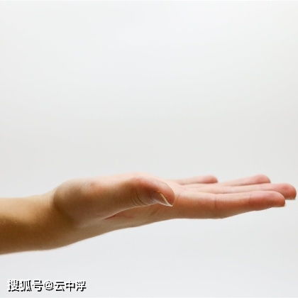 行动迟缓的生肖是哪个？