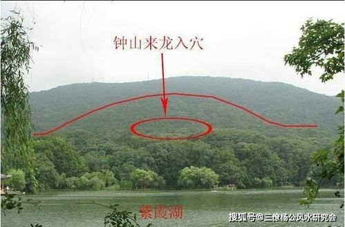 四、专业人才在解决人居环境问题中的作用