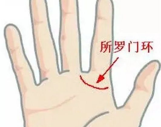 1. 木星丘的发达与商业运势的必然联系