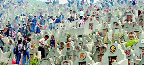 清明上坟供品准备：传统习俗与现代考量