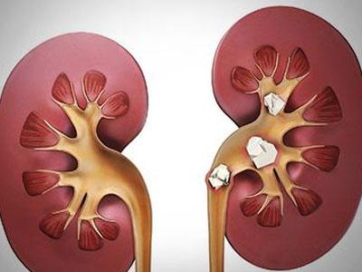 生肖间的差异性与个体化防范方案