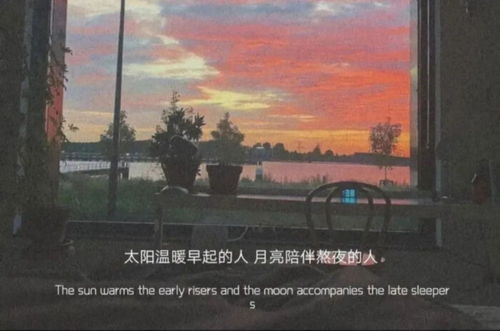 探究背景与历史持续发展脉络