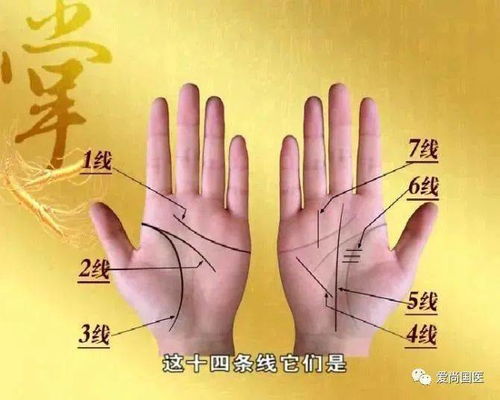 如何通过易奇八字改写手掌诀进行精准八字算命？