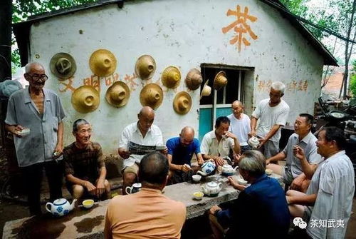 插秧插到腿抽筋的水田体验