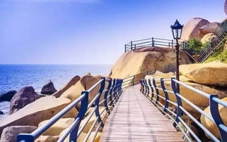 第五种选择：去海边挖沙子假装在马尔代夫