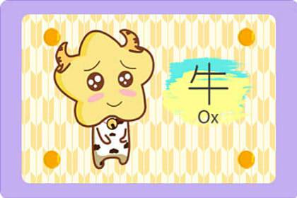 1973年属牛天秤座2026年运势如何？这年运势有何特点？