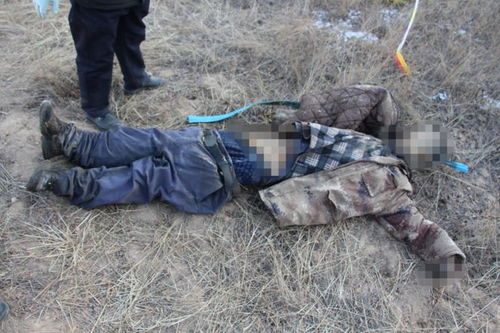 梦见在山上发现尸体是什么预兆？