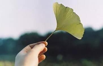 探索生命的意义与目的：重塑价值观的核心转变