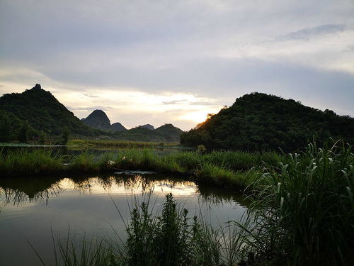 那些让人眼花缭乱的特色菜肴