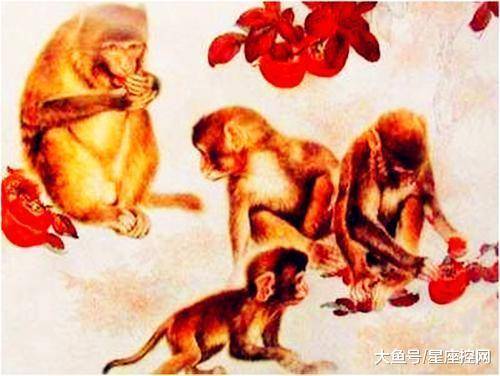 1956年属猴男性最佳婚配年份是哪些？