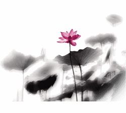 一、以自然景观为主题取名