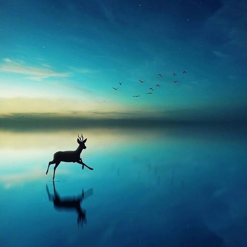 童年缺失与爱的弥补：命运轨迹中的转折