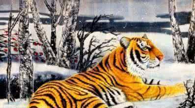 74年属虎男性在2026年的感情婚姻运势如何？