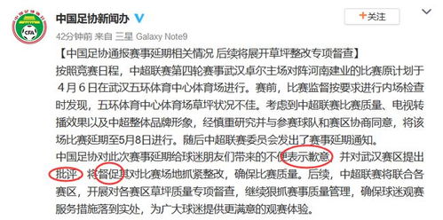 “荣”背后的争议与阴影