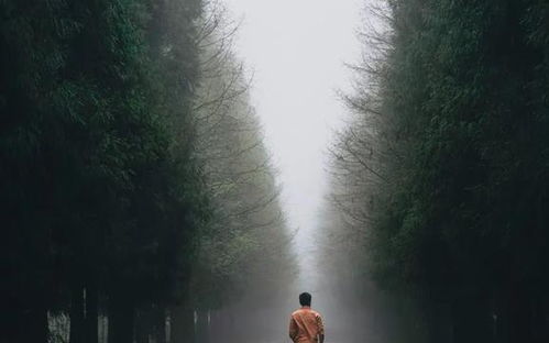 鸵鸟思维：逃避现实导致的问题积累