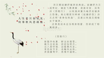 四、 诗词实例及文学实际价值