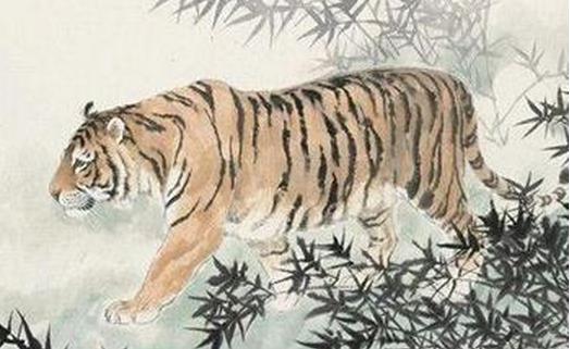 将虎是什么生肖年？虎的属相是哪一年对应的年份是哪一年？