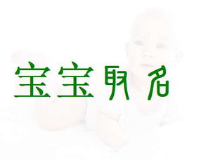 2026鸡年男宝宝起名神器，有没有什么好用的起名方法推荐？