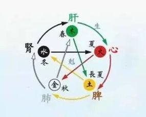 姓名学中的五行分析