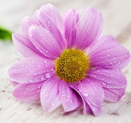 五、 梦境背后的童年阴影