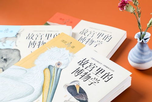 五、“命名艺术：打破常规的选择与创新思维