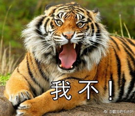 虎：勇猛果敢之象征意义