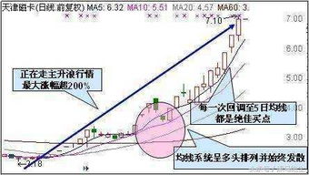 现代化技术手段介入：线上八字合婚平台与隐私保障议题