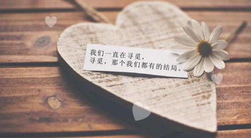 第一节 和合术作为嫩量调节器的机理分析