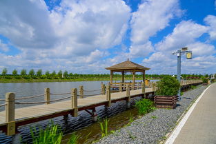 隐藏消费大揭秘