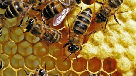 案例分析：父子互动中的认知引导