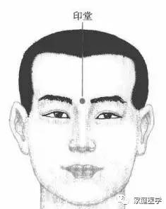 ：印堂——人体解剖与玄学运势的交汇点