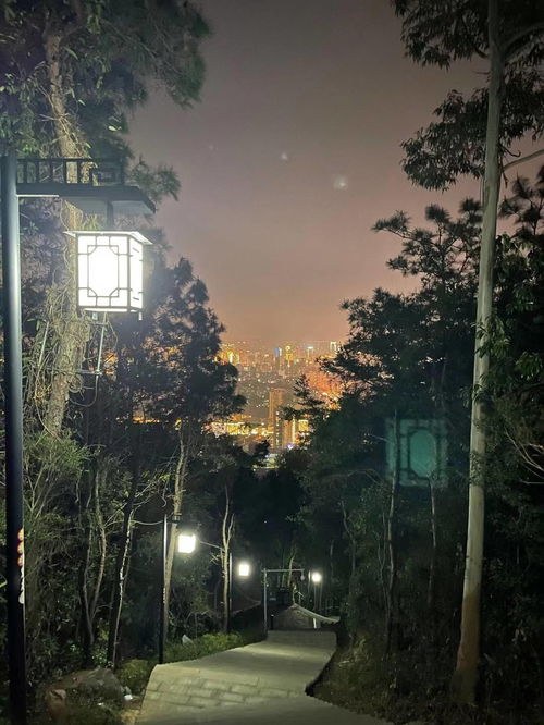 四、 历史持续发展文化底蕴背景下的心理状态效应：集体潜意识与社会周边环境共识